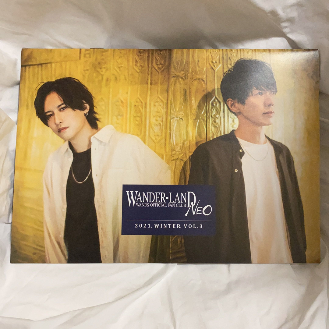 WANDS  会報　2021 Vol.3 エンタメ/ホビーのタレントグッズ(ミュージシャン)の商品写真