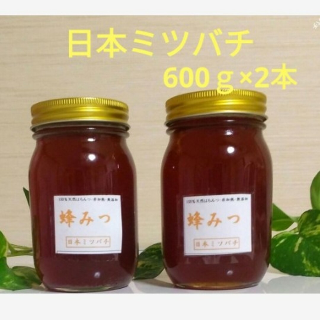日本ミツバチの蜂蜜  600g×2本