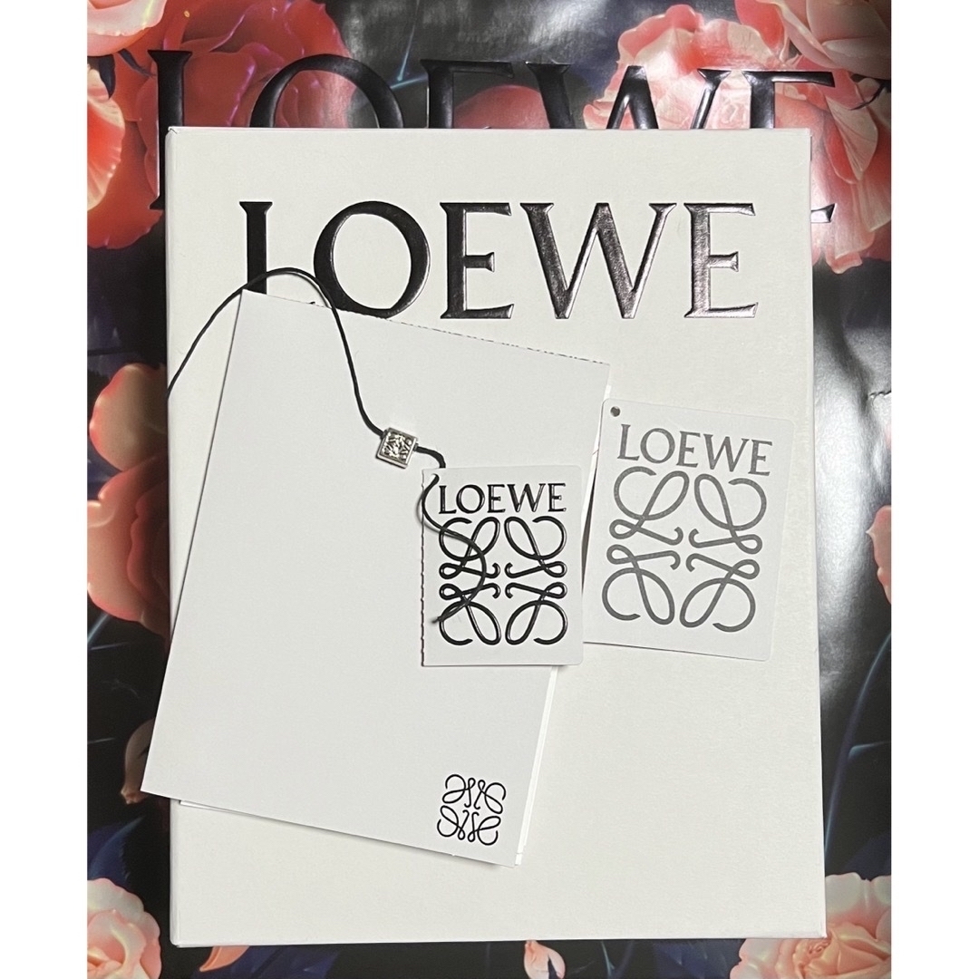 LOEWE(ロエベ)のLOEWE  ダイスポケット　クラッシックカーフ レディースのバッグ(ショルダーバッグ)の商品写真