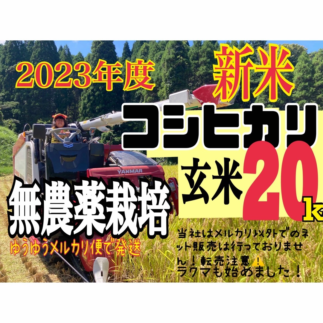 高冷地米　無農薬　20kg　玄米　米/穀物　新米】宮崎県産　コシヒカリ