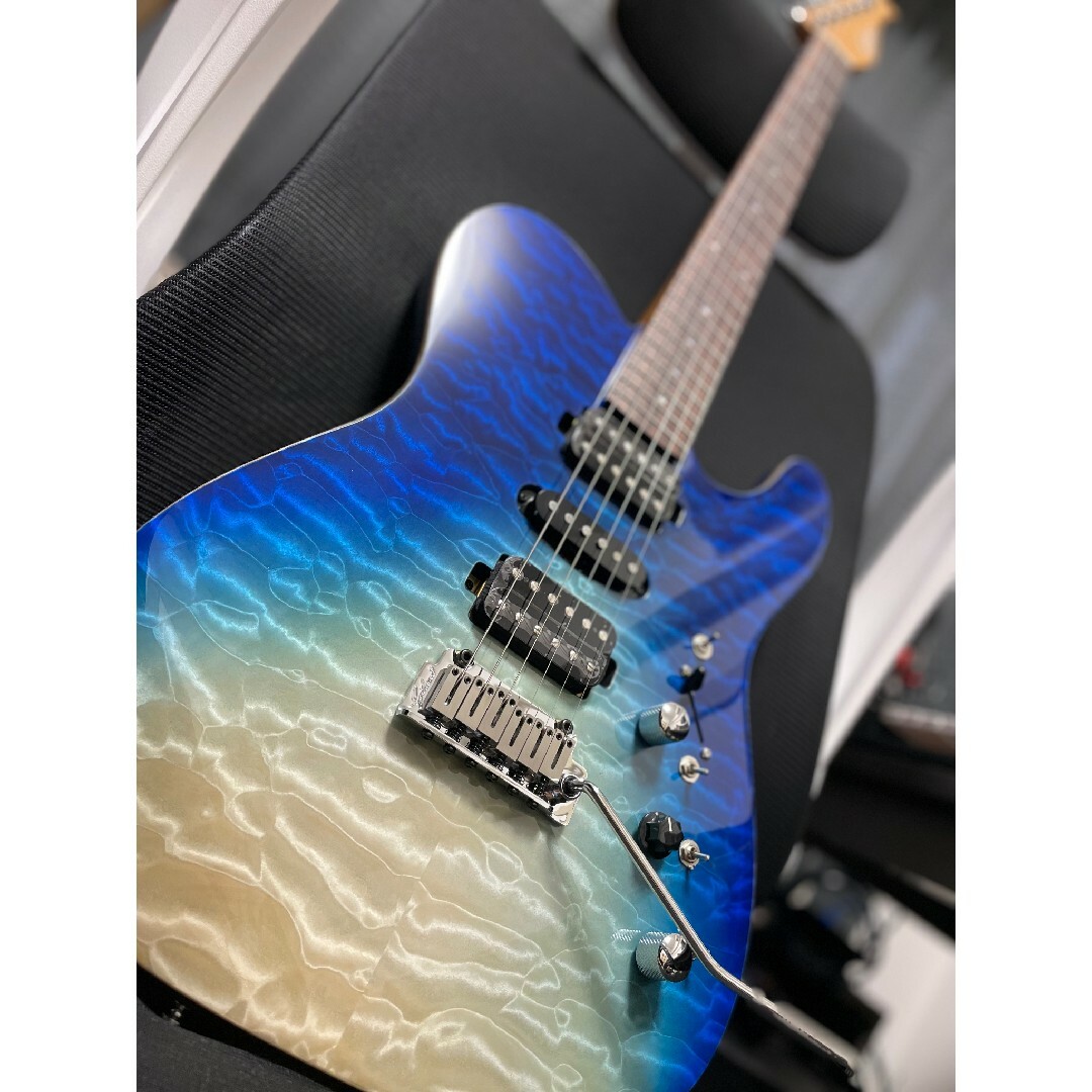 Gilmour Guitars MODERN-T 楽器のギター(エレキギター)の商品写真