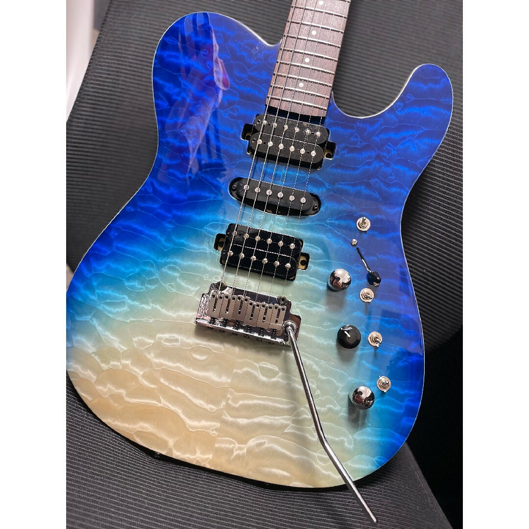 Gilmour Guitars MODERN-T 楽器のギター(エレキギター)の商品写真