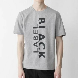 ブラックレーベルクレストブリッジ(BLACK LABEL CRESTBRIDGE)のブラックレーベルクレストブリッジ　Tシャツ　グレー　L　バーバリー　530(Tシャツ/カットソー(半袖/袖なし))
