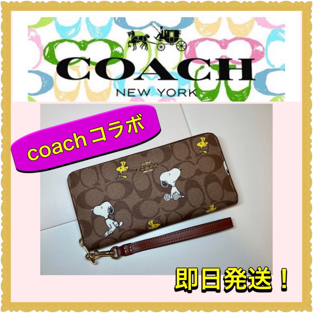 COACH - 【新品・未使用】coach PEANUTS スヌーピー ウッドストック の