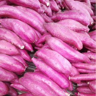 千葉県産　　シルクスイート　さつまいも　サツマイモ　サイズおまかせ約5.0㎏(野菜)