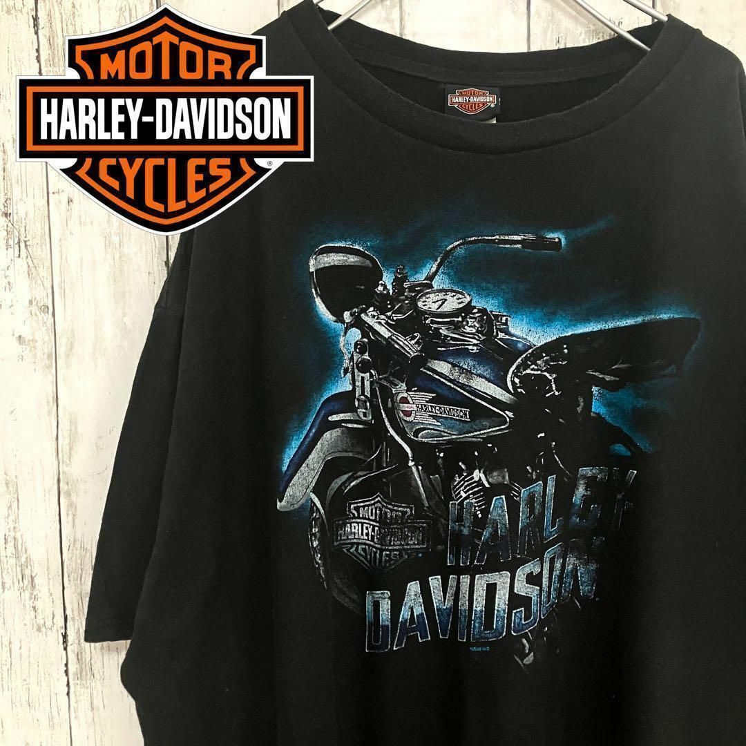 ハーレーダビッドソンヴィンテージtシャツ半袖13年製10sアメリカ旧車バイク