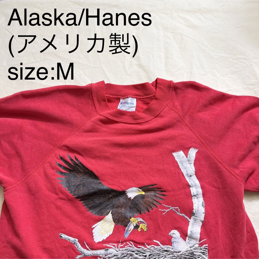 Hanes(ヘインズ)のAlaska/Hanesビンテージスウェットシャツ(アメリカ製) メンズのトップス(スウェット)の商品写真