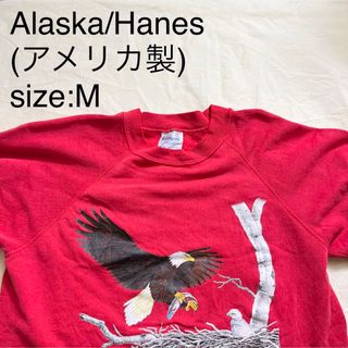 ヘインズ(Hanes)のAlaska/Hanesビンテージスウェットシャツ(アメリカ製)(スウェット)