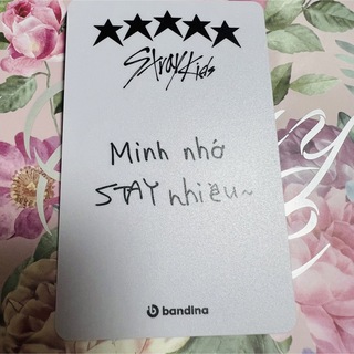 Stray Kids 5-STAR ベトナム BANDINA 特典 ヒョンジン