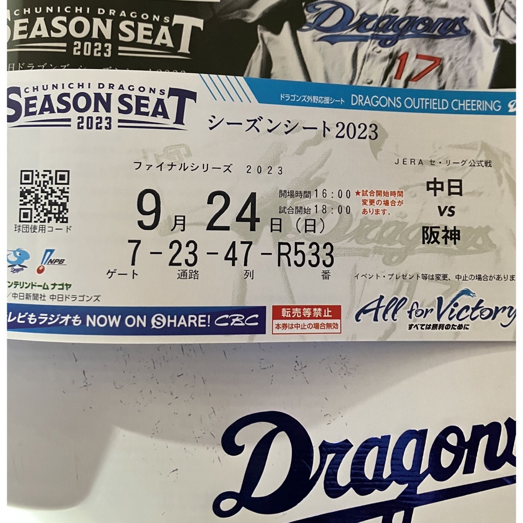 送料込9月24日(日)中日対阪神戦バンテリンドーム　ドラゴンズ外野応援席ペア