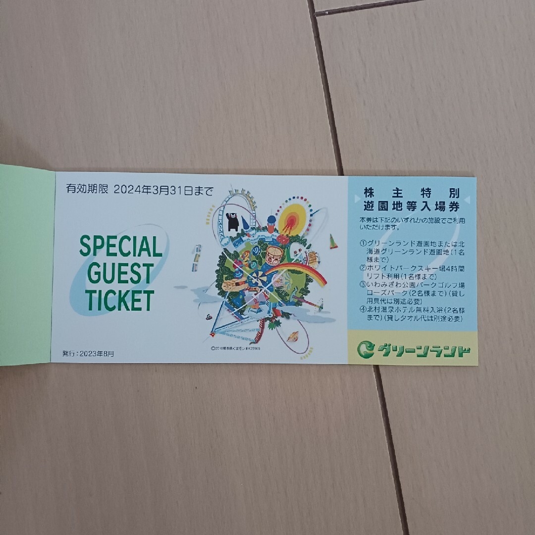 三井グリーンランド　優待券2枚 チケットの優待券/割引券(その他)の商品写真
