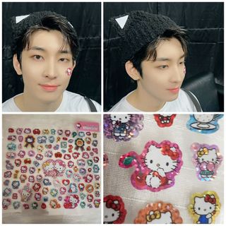 セブンティーン(SEVENTEEN)のハローキティ ウォヌWONWOO使用 シール セブチ②(アイドルグッズ)