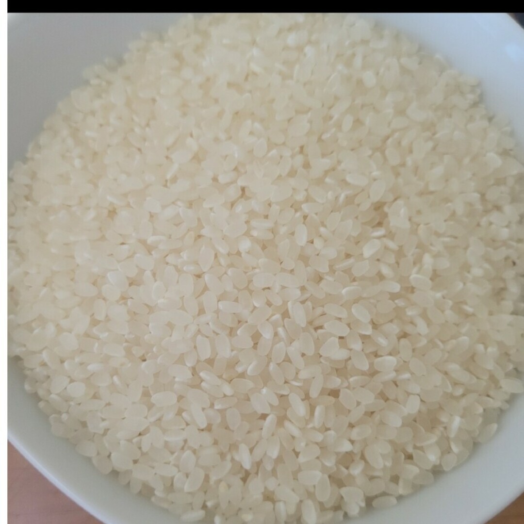 お米 食品/飲料/酒の食品(米/穀物)の商品写真