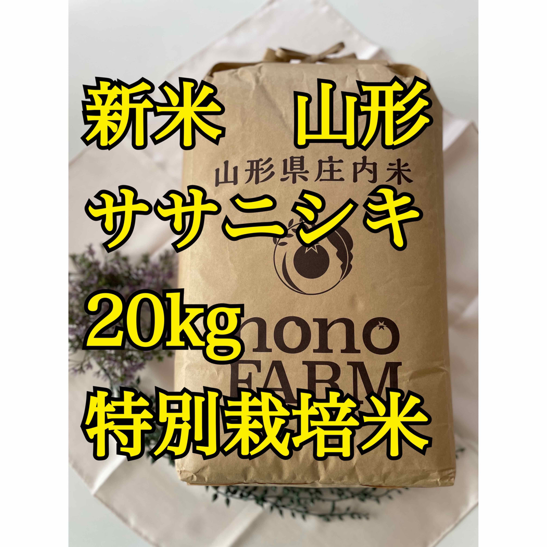 新米　20kg ササニシキ　山形　特別栽培米食品/飲料/酒