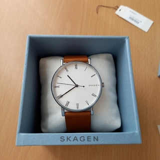 新型 FALSTER 3 ガンメタルゲージメッシュ SKAGEN