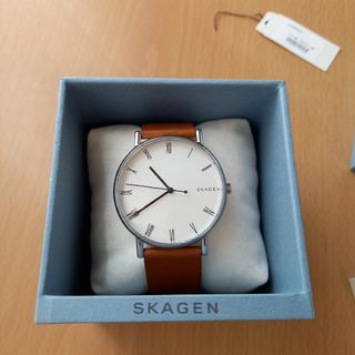 スカーゲン(SKAGEN)のスカーゲン腕時計★メンズ　本体・説明書のみ(腕時計(アナログ))