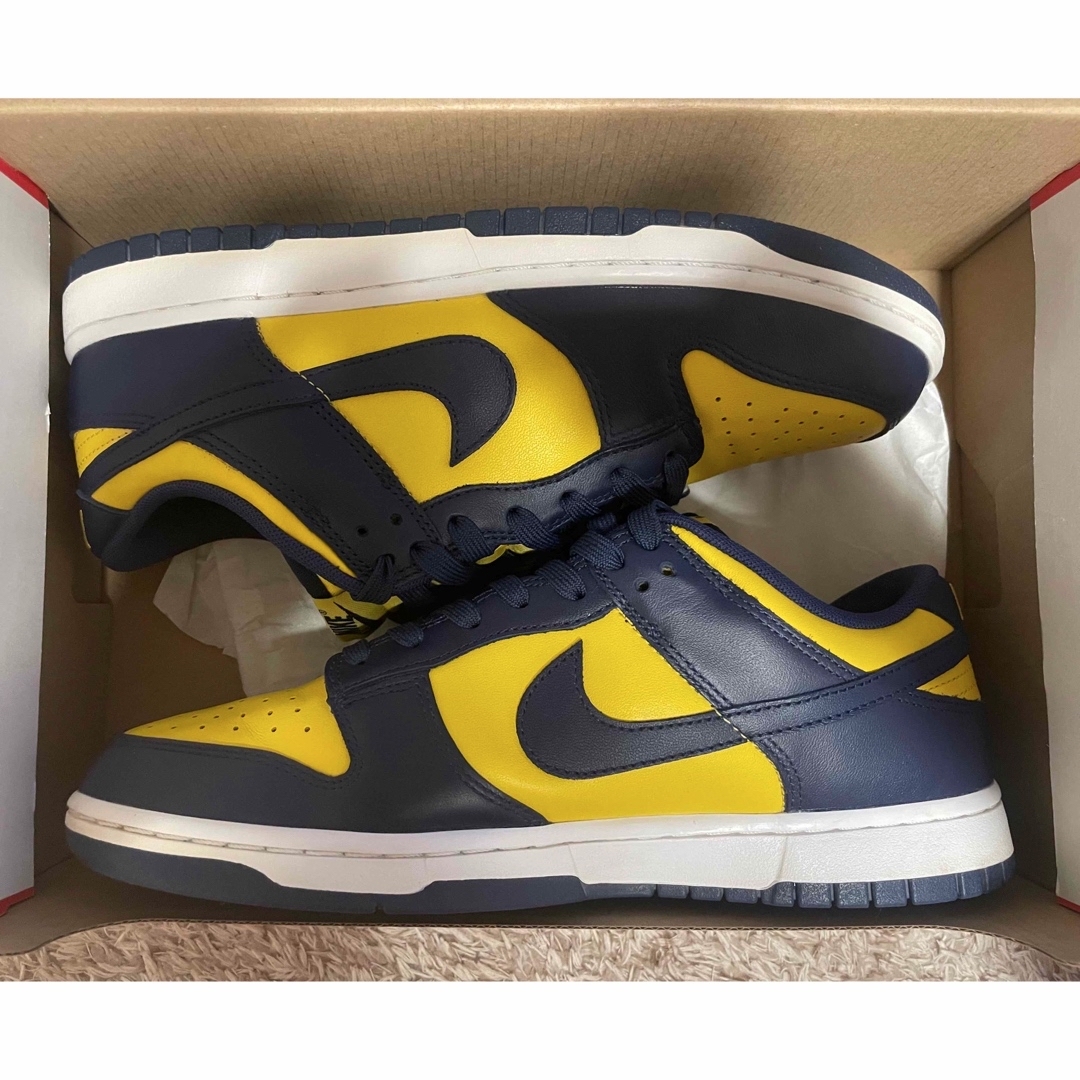 Nike Dunk Low Michigan (2021)