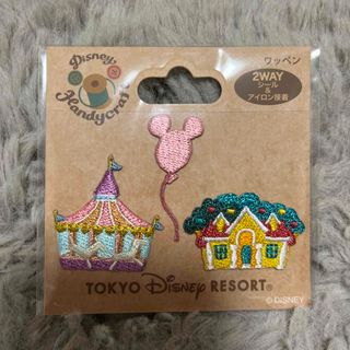 ディズニー(Disney)の☆リサ様 専用☆ 2枚セット ディズニー ワッペン(シール･アイロン接着)(ファッション雑貨)