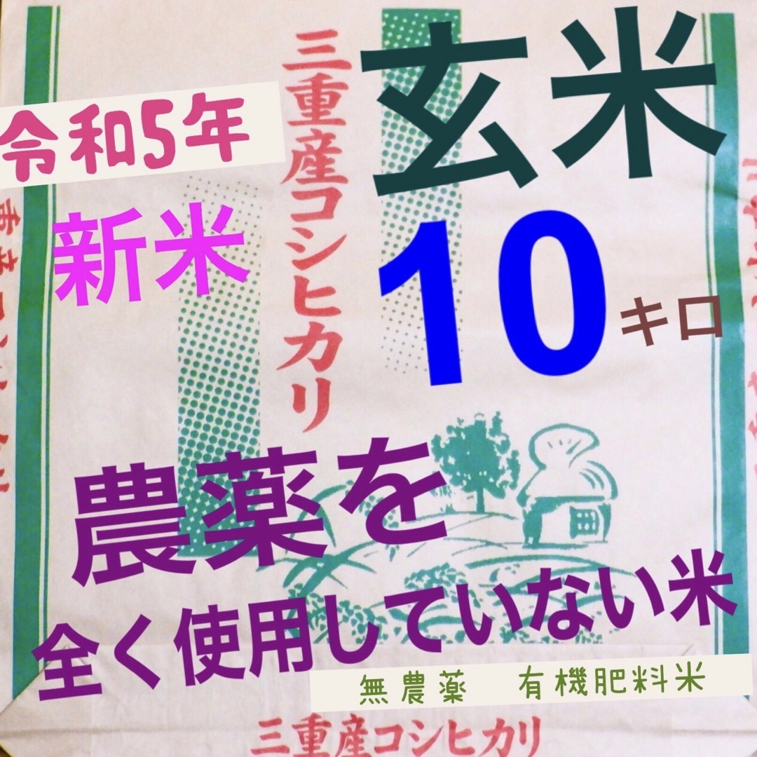 無農薬　有機肥料米　令和５年新米　三重県産コシヒカリ　玄米１０キロ　全国送料込⑥