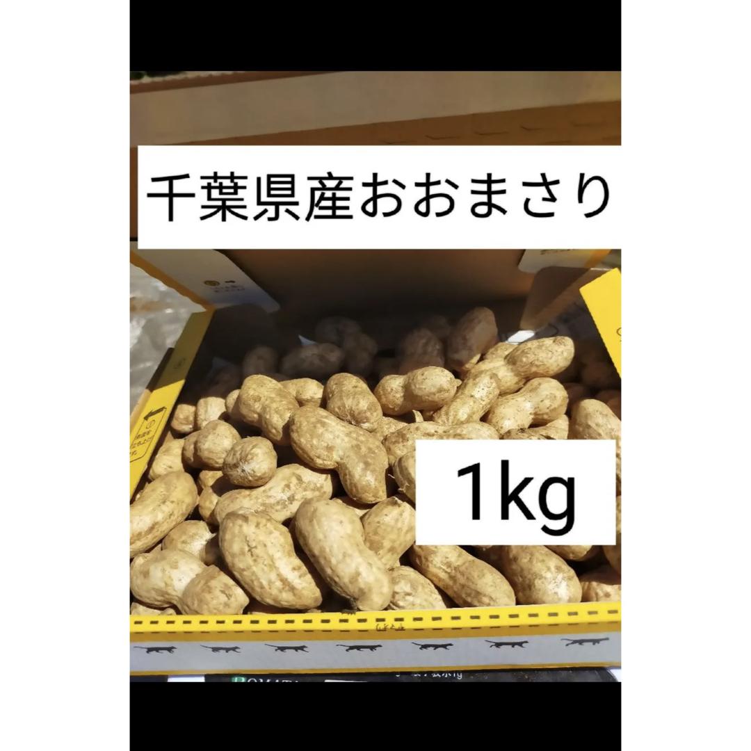 千葉県産生落花生おおまさり箱込み１０キロ - 野菜