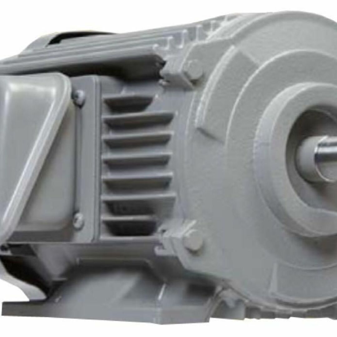 ザ・モートルNeo100 Premium TFO-LKK-5.5kW-6P 売れ筋がひ! その他