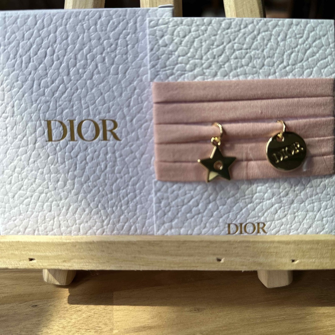 Christian Dior(クリスチャンディオール)のDIOR  ノベルティ　ブレスレット エンタメ/ホビーのコレクション(ノベルティグッズ)の商品写真