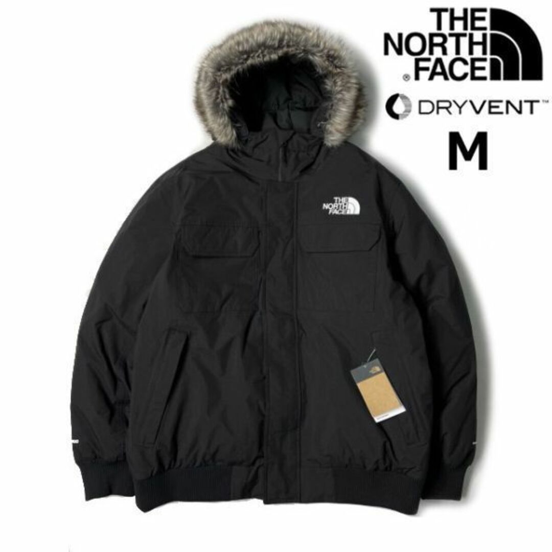 THE NORTH FACE - ノースフェイス マクマードボンバー ダウン US限定(M ...