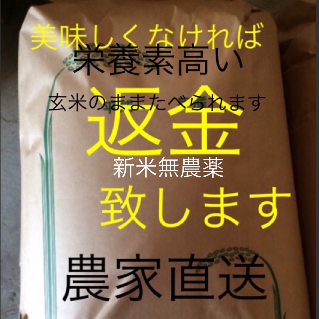 すずみ様専用　新米無農薬純こしひかり30㎏ 玄米 食品/飲料/酒の食品(米/穀物)の商品写真