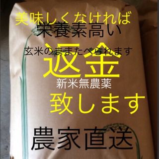 すずみ様専用　新米無農薬純こしひかり30㎏ 玄米(米/穀物)