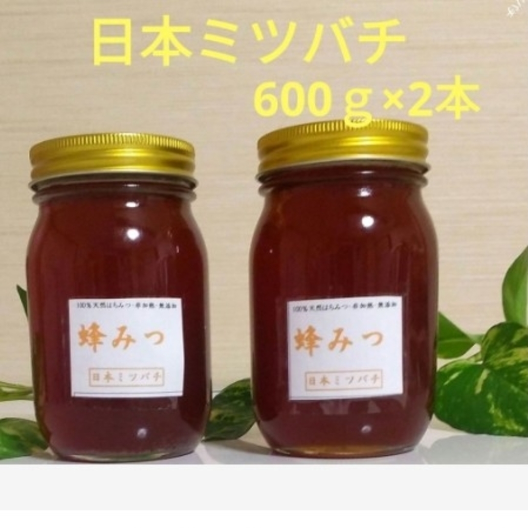 600g×4本　日本蜜蜂の蜂蜜[地蜜(山蜜)]天然100%