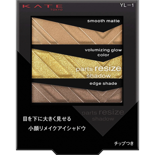 ケイト(KATE)のケイト パーツリサイズシャドウ アイシャドウ YL-1(アイシャドウ)