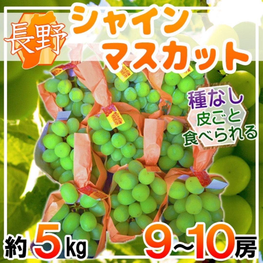 長野県産　約5キロ　9〜10房　シャインマスカット　フルーツ