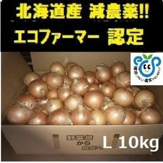 北海道産 玉ねぎ Lサイズ 10kg(野菜)