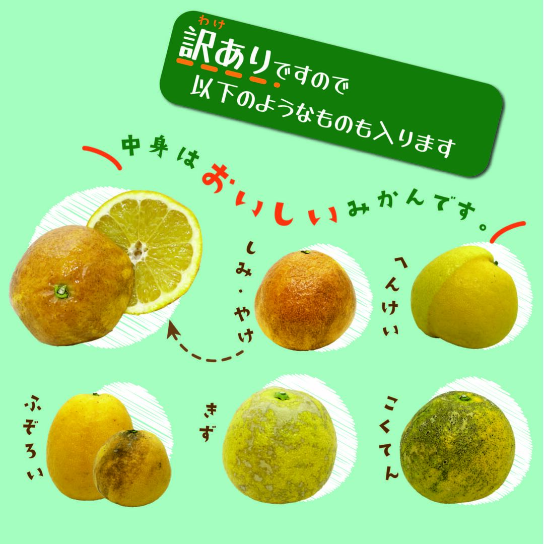 【訳あり、北海道沖縄専用出品】河内晩柑　みしょうゴールド　10kg 食品/飲料/酒の食品(フルーツ)の商品写真