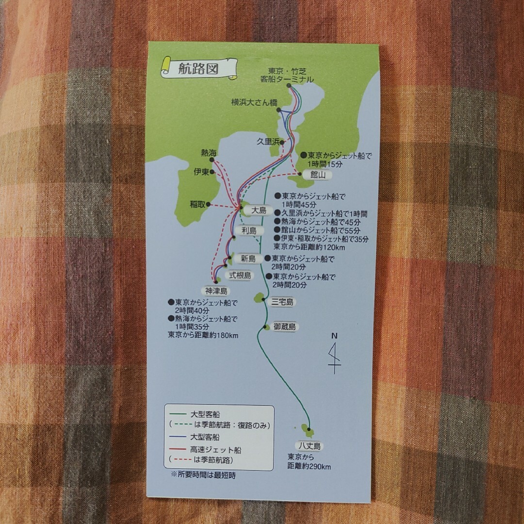 最新【当日発送 速達可】東海汽船 株主優待 伊豆 大島 フェリー さるびあ 旅行 チケットの施設利用券(その他)の商品写真