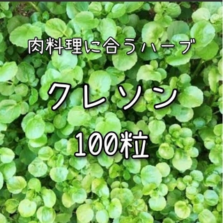 【クレソンのタネ】100粒 種子 種 ウォータークレス ハーブ(その他)