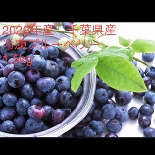 2023年産　冷凍ブルーベリー　無農薬　1,5kg(フルーツ)