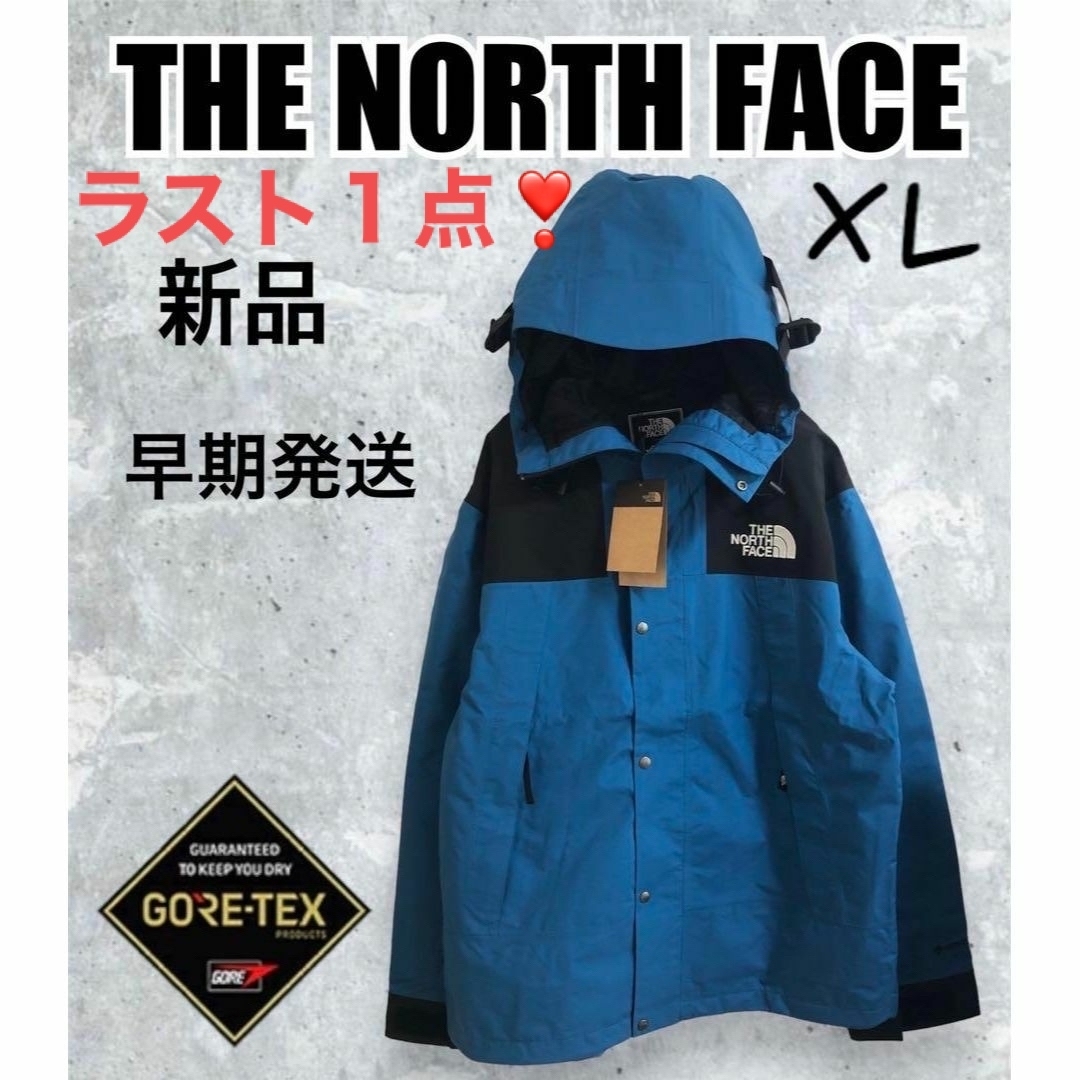 THE NORTH FACE - 新品⭐️ノースフェイスゴアテックスマウンテン