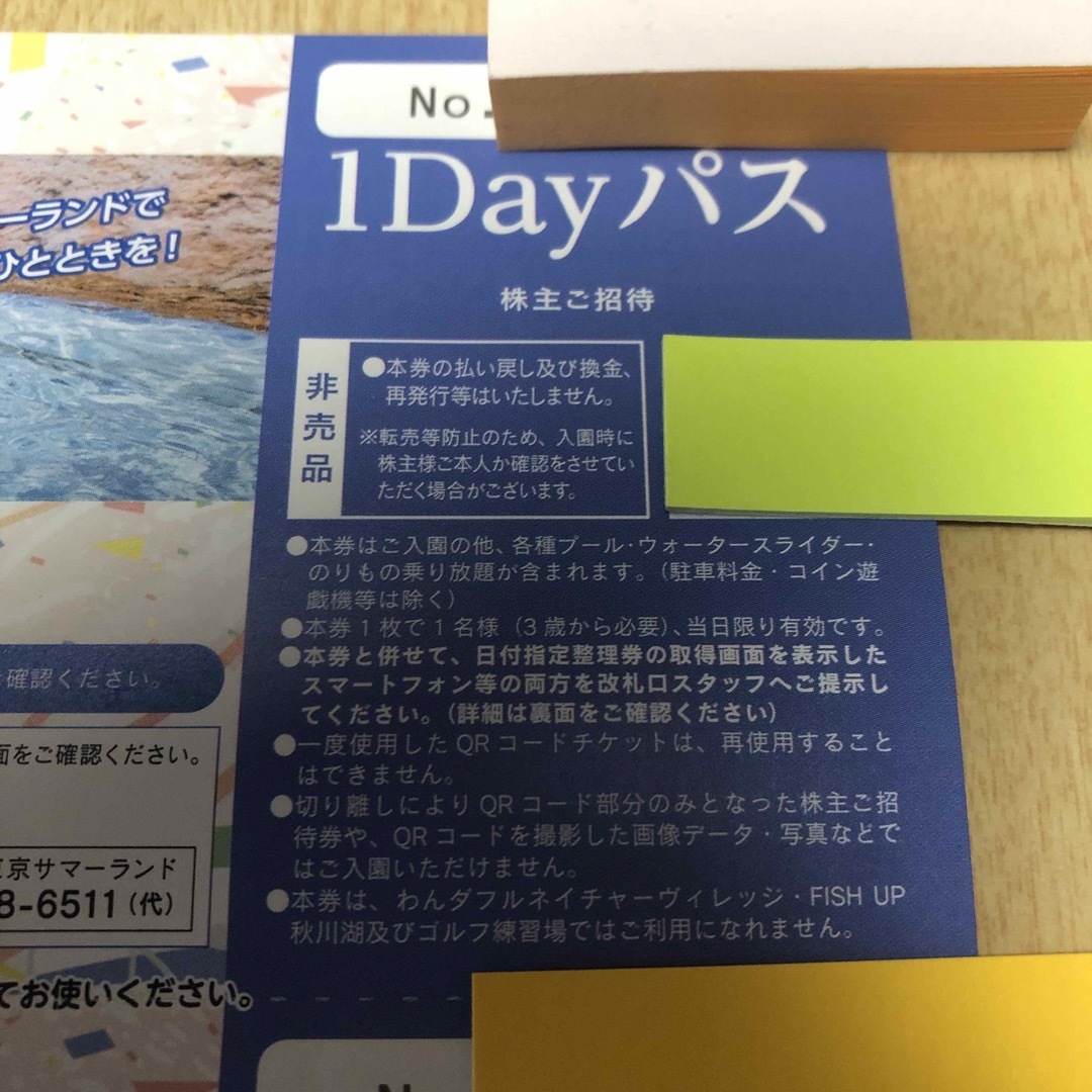 東京サマーランド　１Dayパス　4枚　株主優待　券 チケット 2