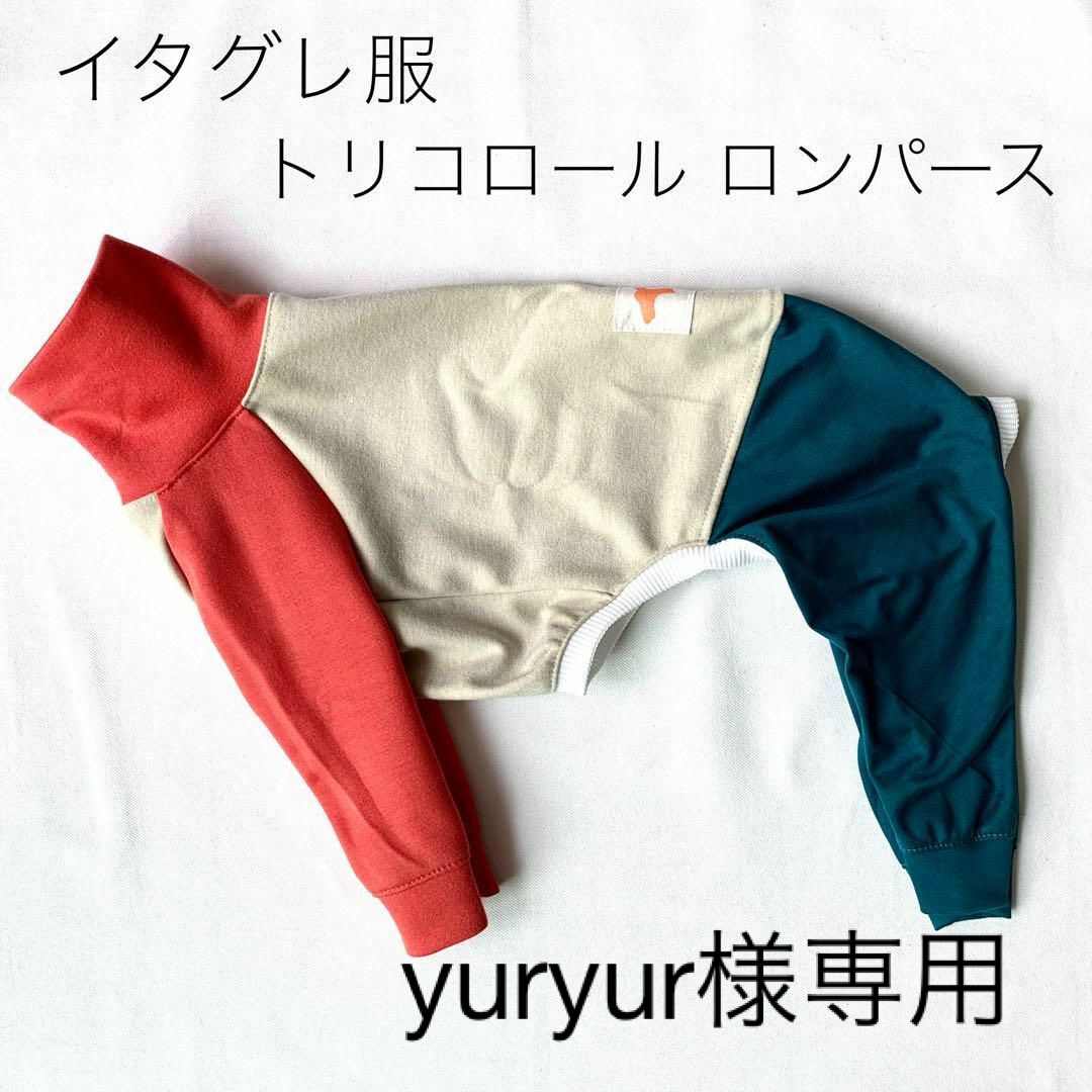 yuryur様専用　イタグレ服　ロンパース　トリコロール　Lサイズ　他一点あり ハンドメイドのペット(ペット服/アクセサリー)の商品写真