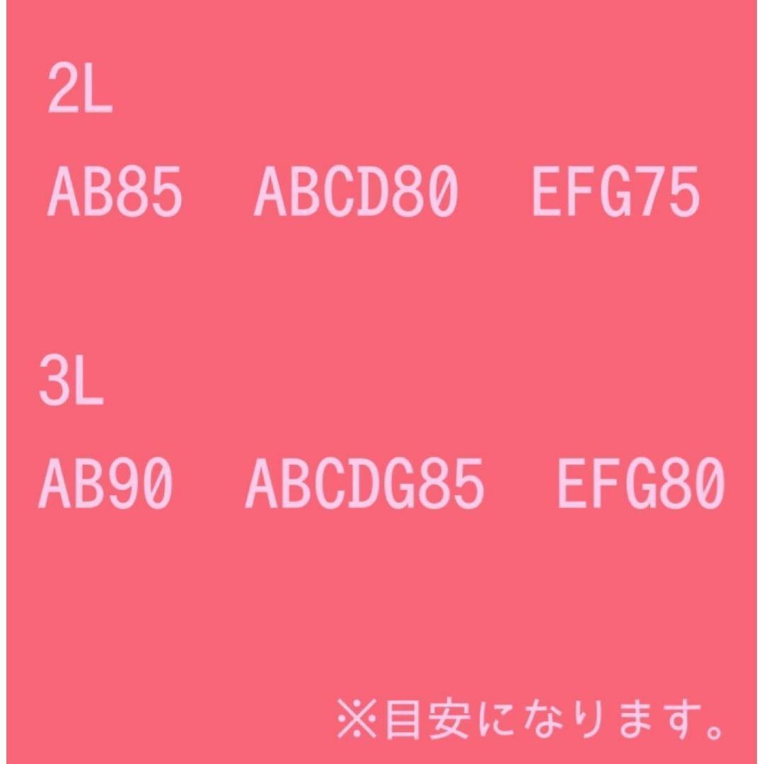 3Ｌ　レースブラ　ストレッチ　ノンワイヤー　シームレス　ブラジャー　伸縮性 レディースの下着/アンダーウェア(ブラ)の商品写真