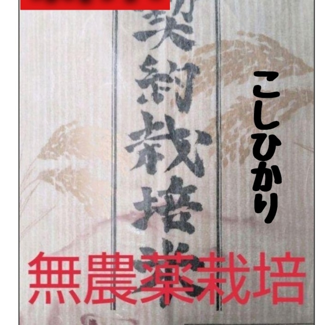 兵庫県丹波産こしひかり玄米10kg(令和4年産