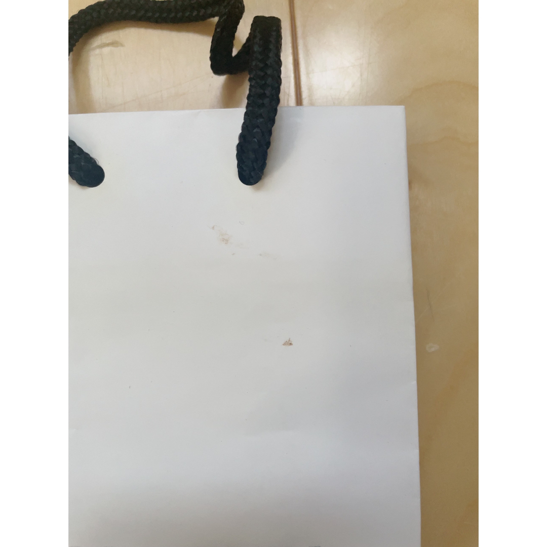 CHANEL(シャネル)のCHANEL紙袋 レディースのバッグ(ショップ袋)の商品写真