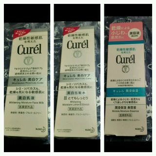 キュレル(Curel)のぴよ様専用　キュレル基礎化粧品(その他)