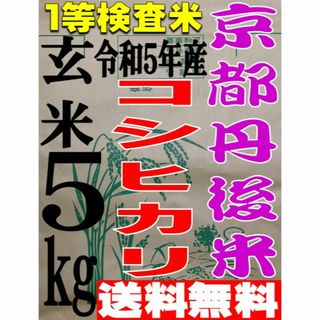 送料無料 一等検査米 新米 令和5年度産 京都 丹後 コシヒカリ 玄米 5kg(米/穀物)