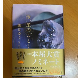 汝、星のごとく(文学/小説)