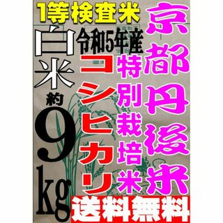 送料無料 一等検査 白米 新米 令和5年産 京都 丹後 米 コシヒカリ 約9kg(米/穀物)