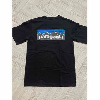 パタゴニア(patagonia)のPatagonia Tシャツ(Tシャツ/カットソー(半袖/袖なし))