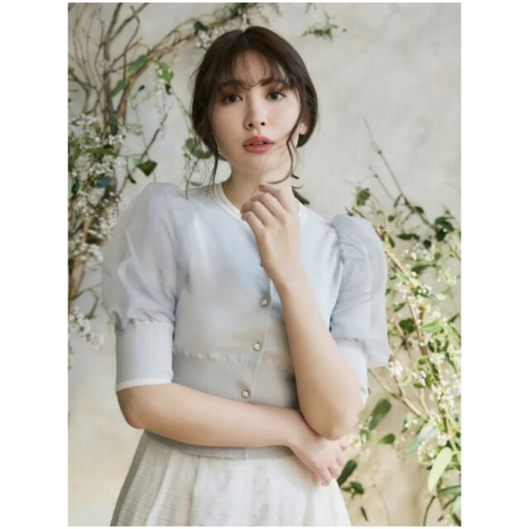 Herlipto Organdy Volume Sleeve Knit Top