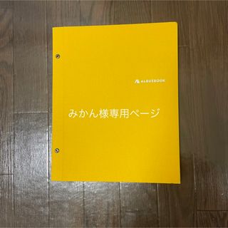 アルバスブック※専用ページです※(アルバム)